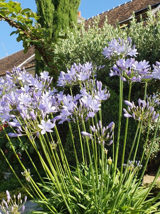 Les Glycines Ury Exterior foto