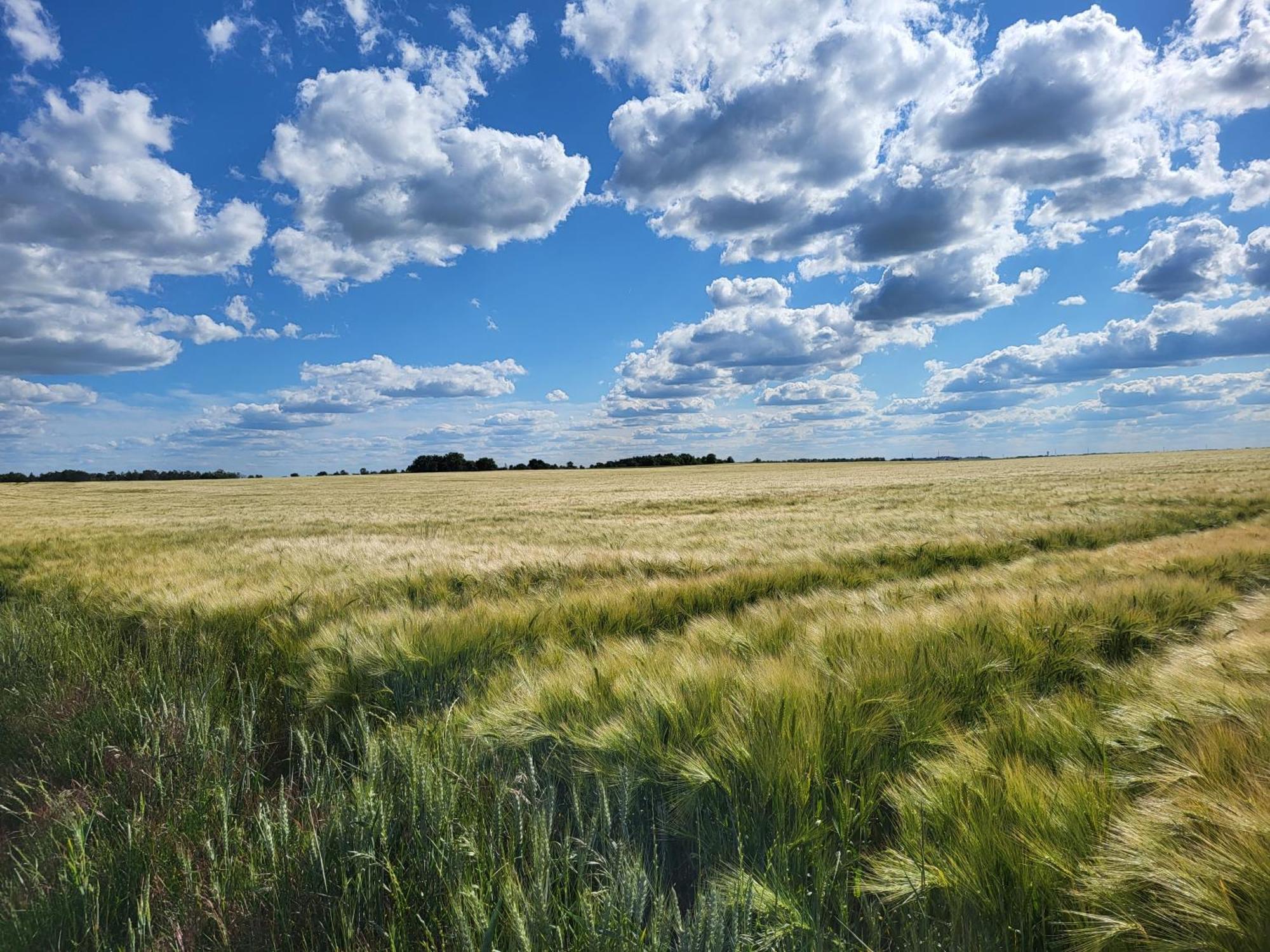 Les Glycines Ury Exterior foto
